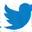Twitter Icon